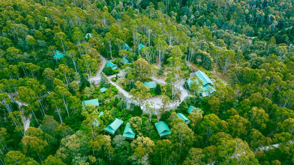 Lemonthyme Wilderness Retreat (Moina) 